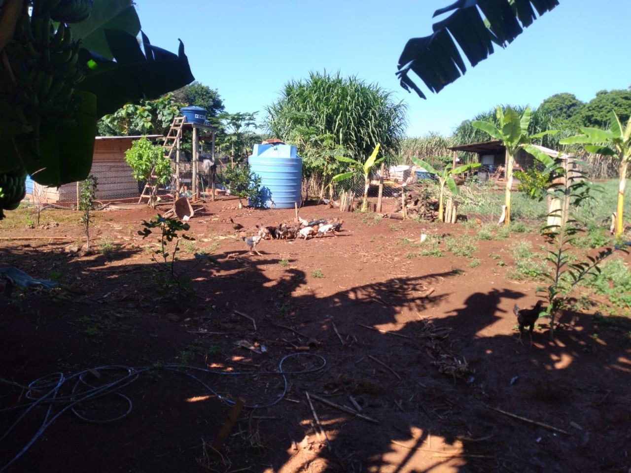 Chácara para venda no bairro Novo Parque Alvorada de Doutor Camargo - Foto 30
