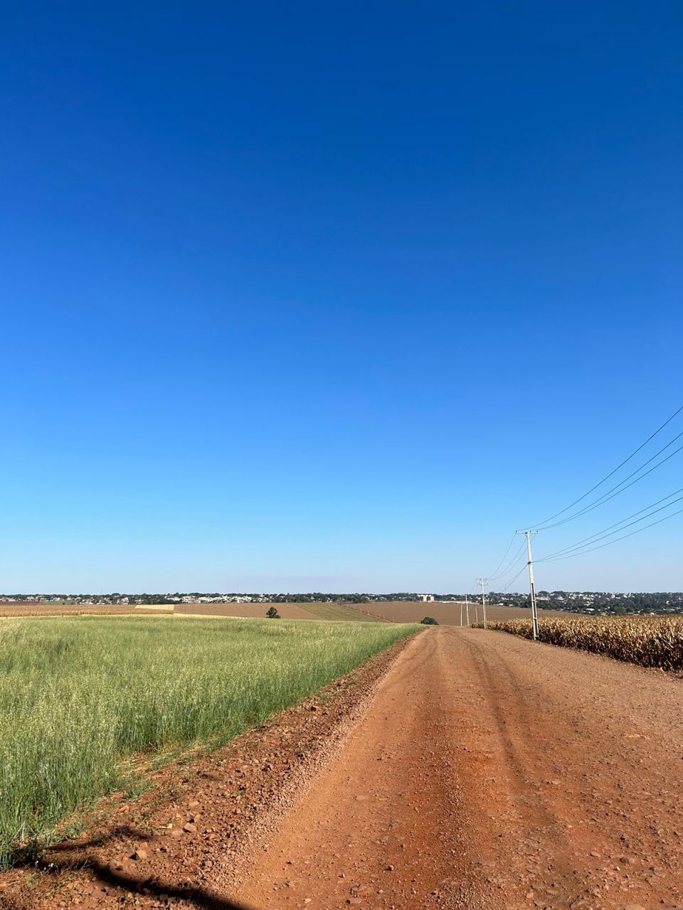 Sítio Rural para venda no Área Rural em Paiçandu com 2,5m² por R$ 1.499.000,00