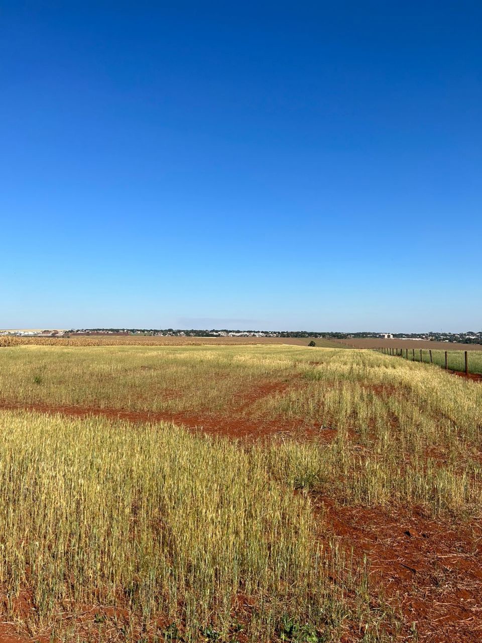 Sítio Rural para venda no Área Rural em Paiçandu com 2,5m² por R$ 1.499.000,00
