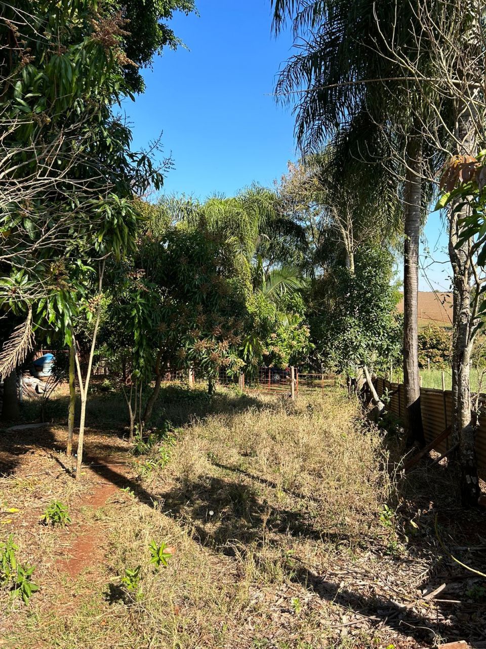 Sítio Rural para venda no bairro Área Rural de Paiçandu - Foto 7