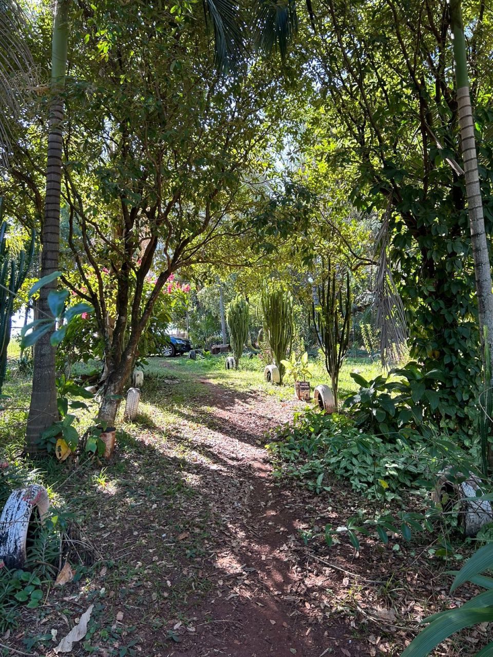 Sítio Rural para venda no bairro Área Rural de Paiçandu - Foto 10