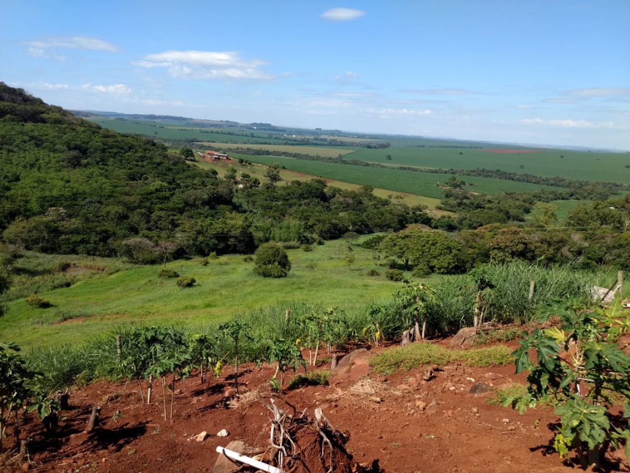 Sítio Rural para venda no Serrinha em Doutor Camargo com 6m² por R$ 1.600.000,00