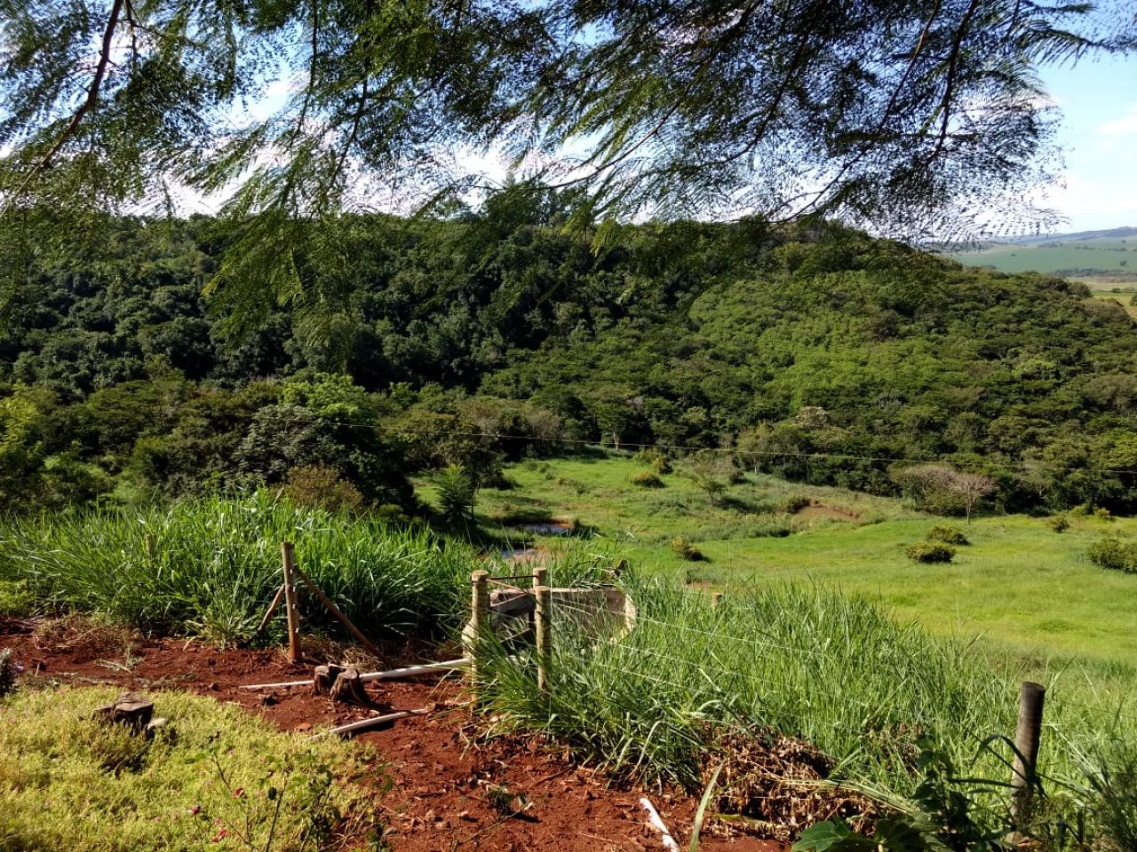 Sítio Rural para venda no Serrinha em Doutor Camargo com 6m² por R$ 1.600.000,00