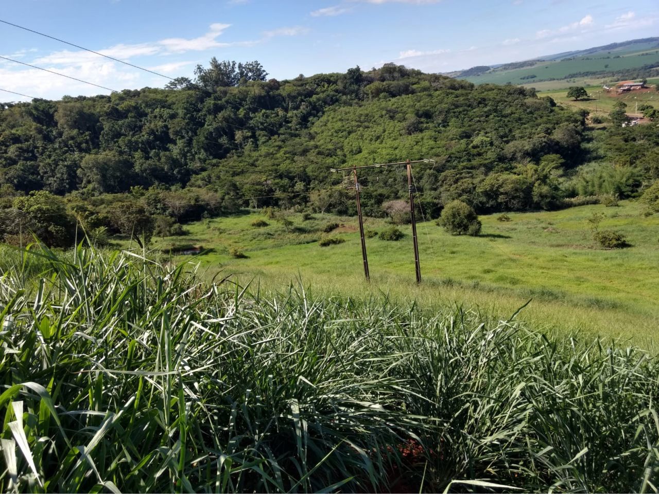 Sítio Rural para venda no Serrinha em Doutor Camargo com 6m² por R$ 1.600.000,00