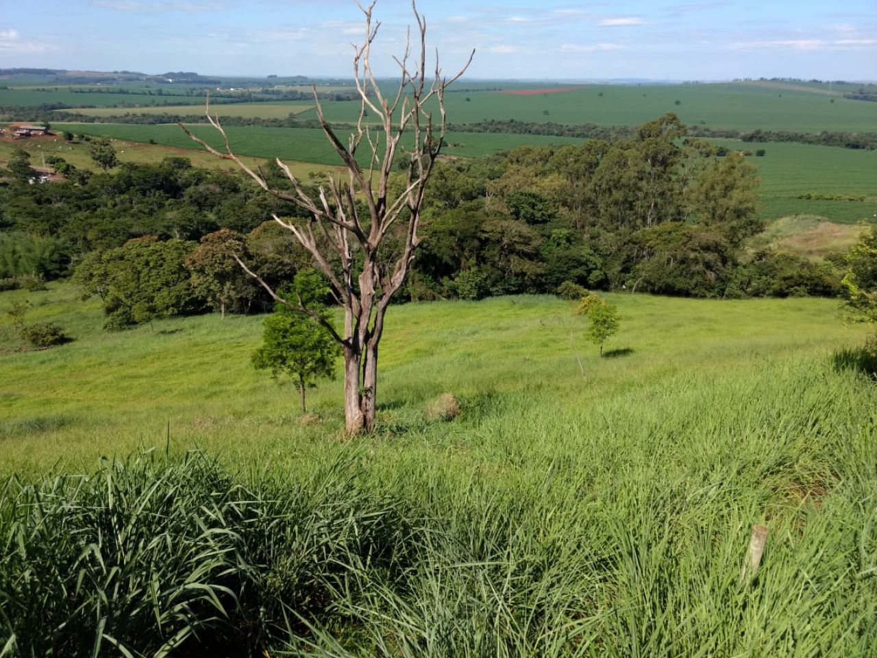 Sítio Rural para venda no bairro Serrinha de Doutor Camargo - Foto 4
