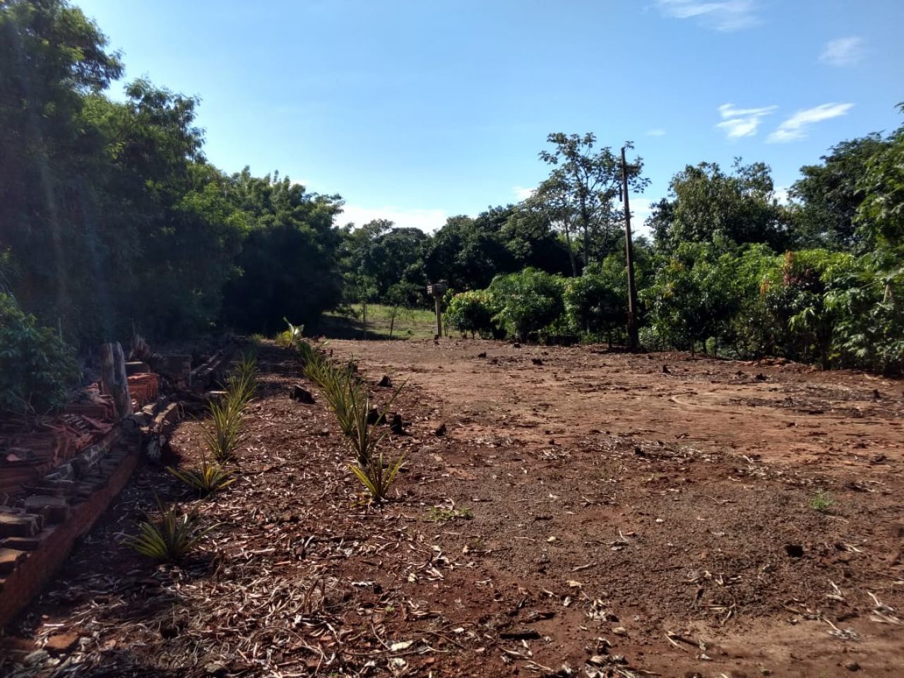 Sítio Rural para venda no bairro Serrinha de Doutor Camargo - Foto 6