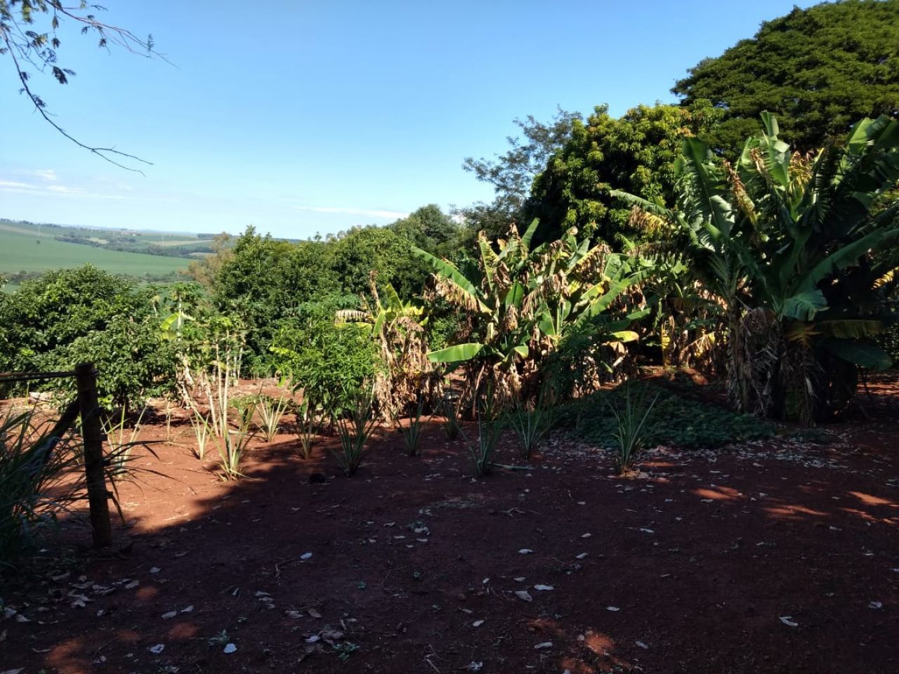 Sítio Rural para venda no bairro Serrinha de Doutor Camargo - Foto 7