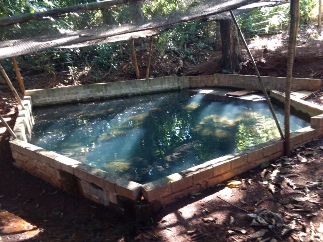 Sítio Rural para venda no bairro Serrinha de Doutor Camargo - Foto 8
