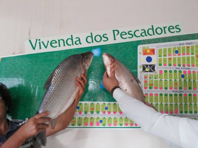 Loteamento_condomíni para venda no bairro Novo Parque Alvorada de Doutor Camargo - Foto 25