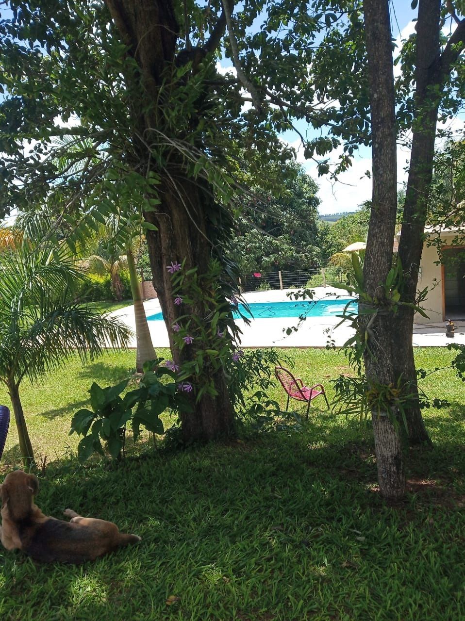 Chácara para venda no Não Informado em Terra Boa com 1,25m² por R$ 1.000.000,00