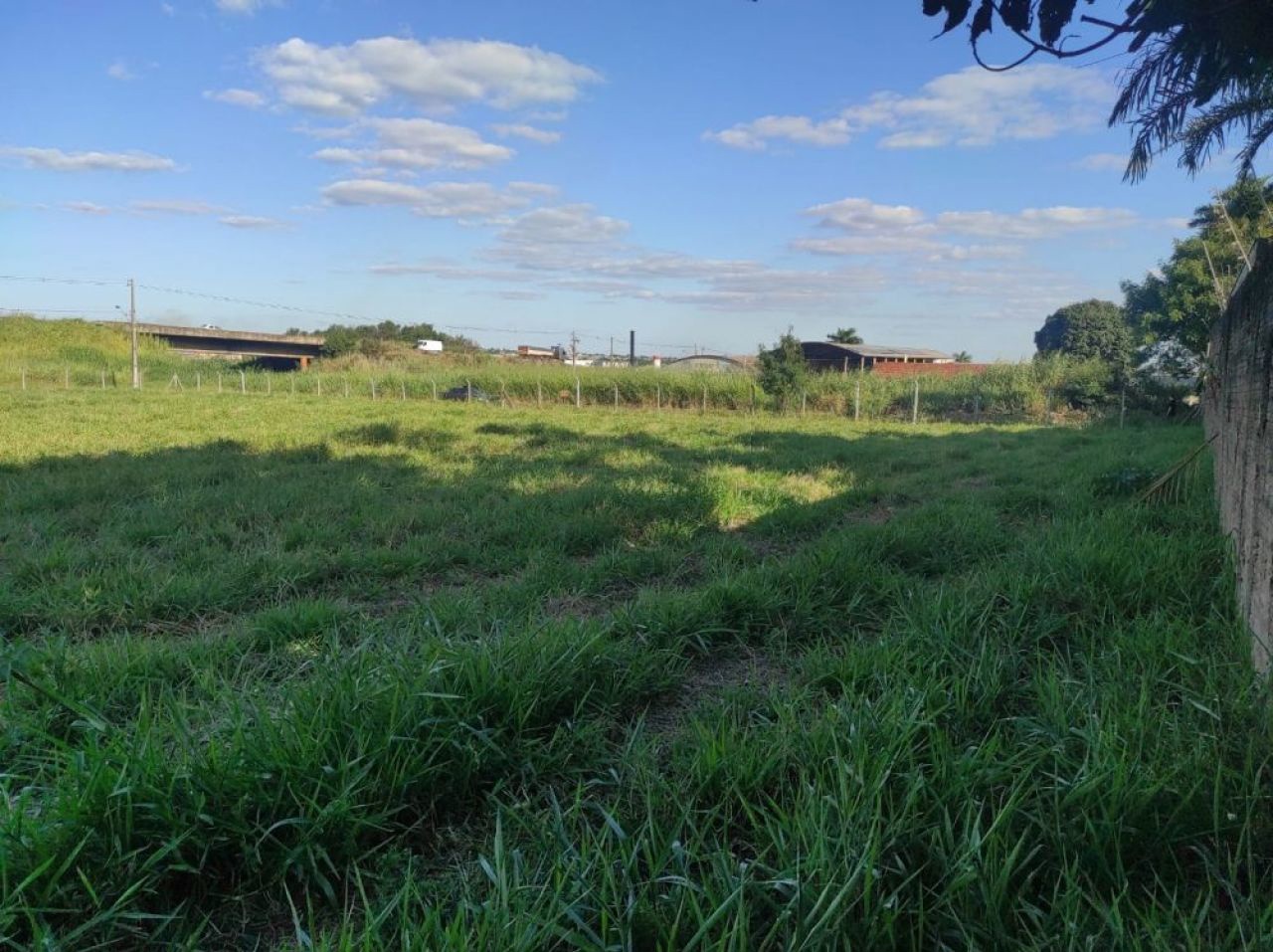 Terreno para venda no bairro Zona 07 de Maringá - Foto 7