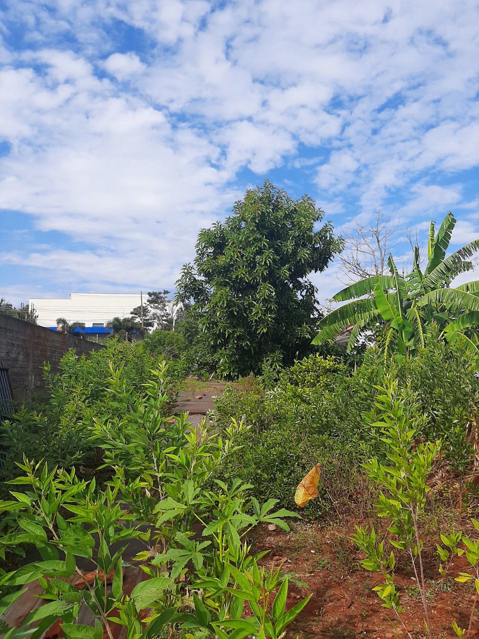 Terreno para venda no bairro Recanto Kakogawa de Maringá - Foto 4