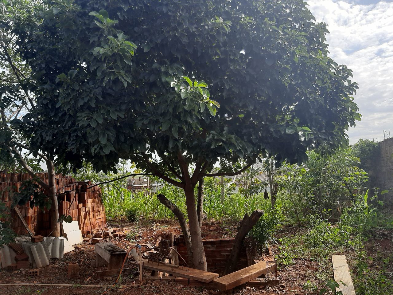 Terreno para venda no bairro Recanto Kakogawa de Maringá - Foto 9