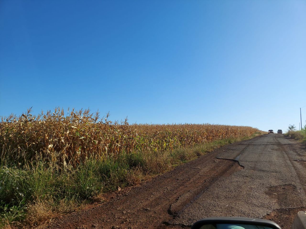 Terreno para venda no bairro Br466 de Marialva - Foto 6