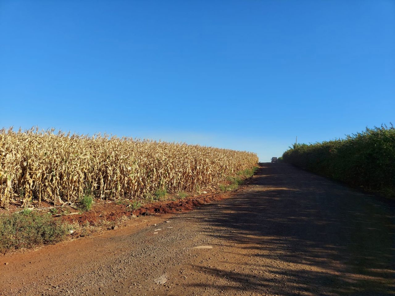 Terreno para venda no bairro Br466 de Marialva - Foto 7