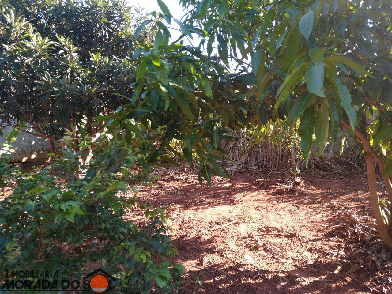 Terreno para venda no bairro Vila Guardiana de Mandaguaçu - Foto 7