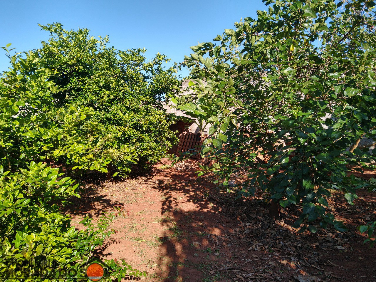 Terreno para venda no bairro Vila Guardiana de Mandaguaçu - Foto 11