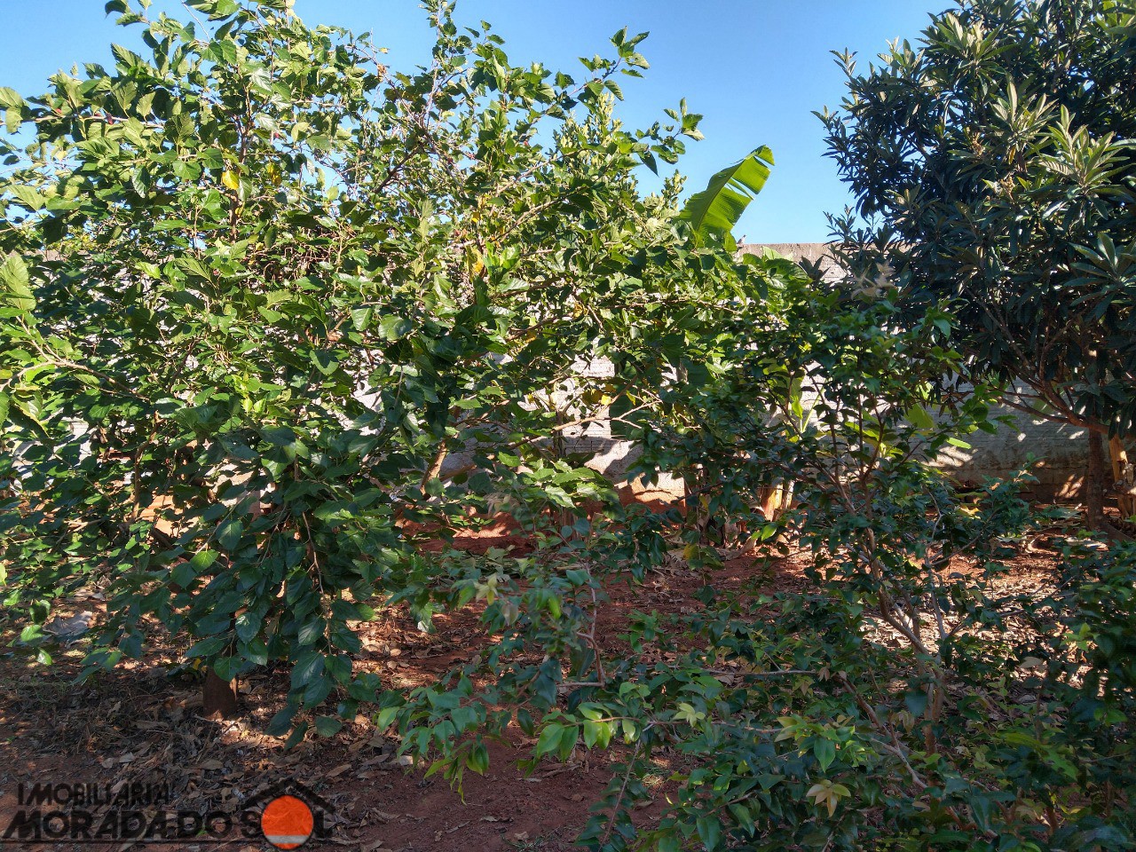 Terreno para venda no bairro Vila Guardiana de Mandaguaçu - Foto 13