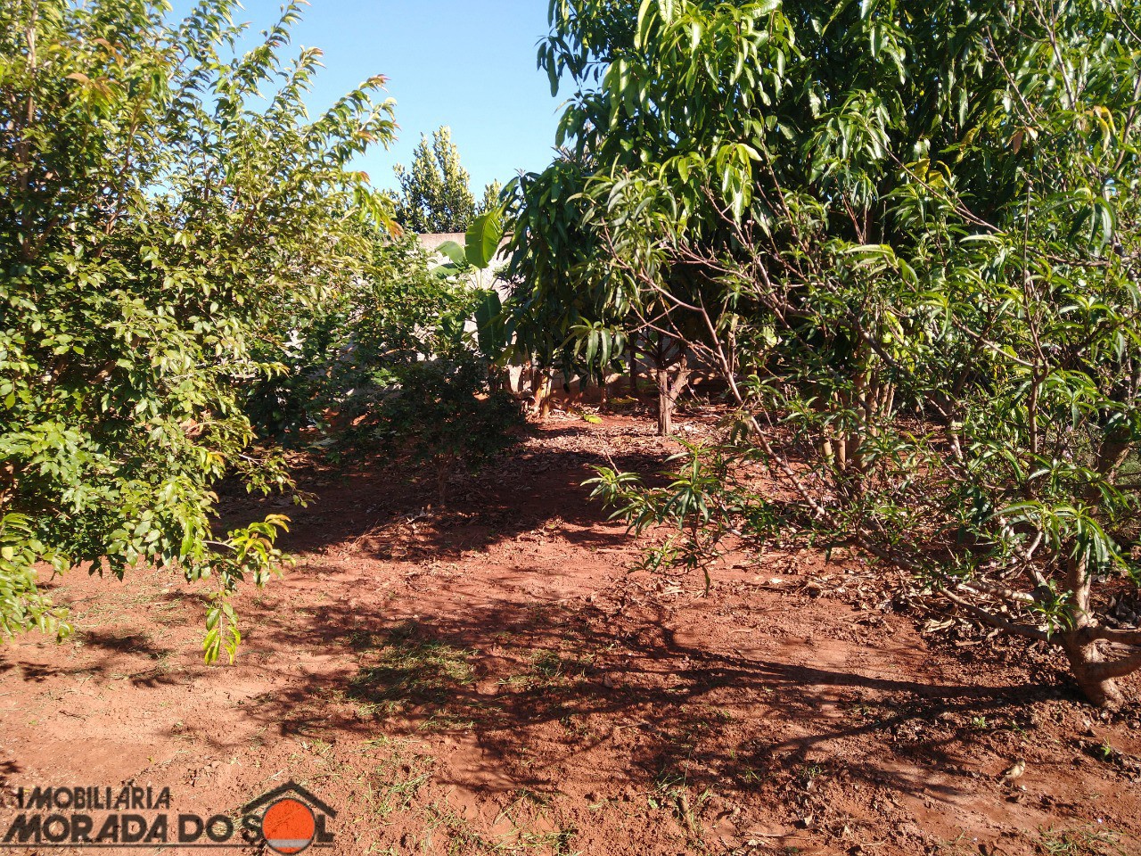 Terreno para venda no bairro Vila Guardiana de Mandaguaçu - Foto 14