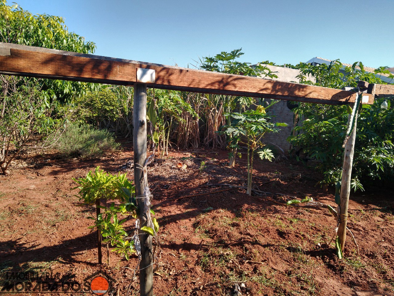 Terreno para venda no bairro Vila Guardiana de Mandaguaçu - Foto 15