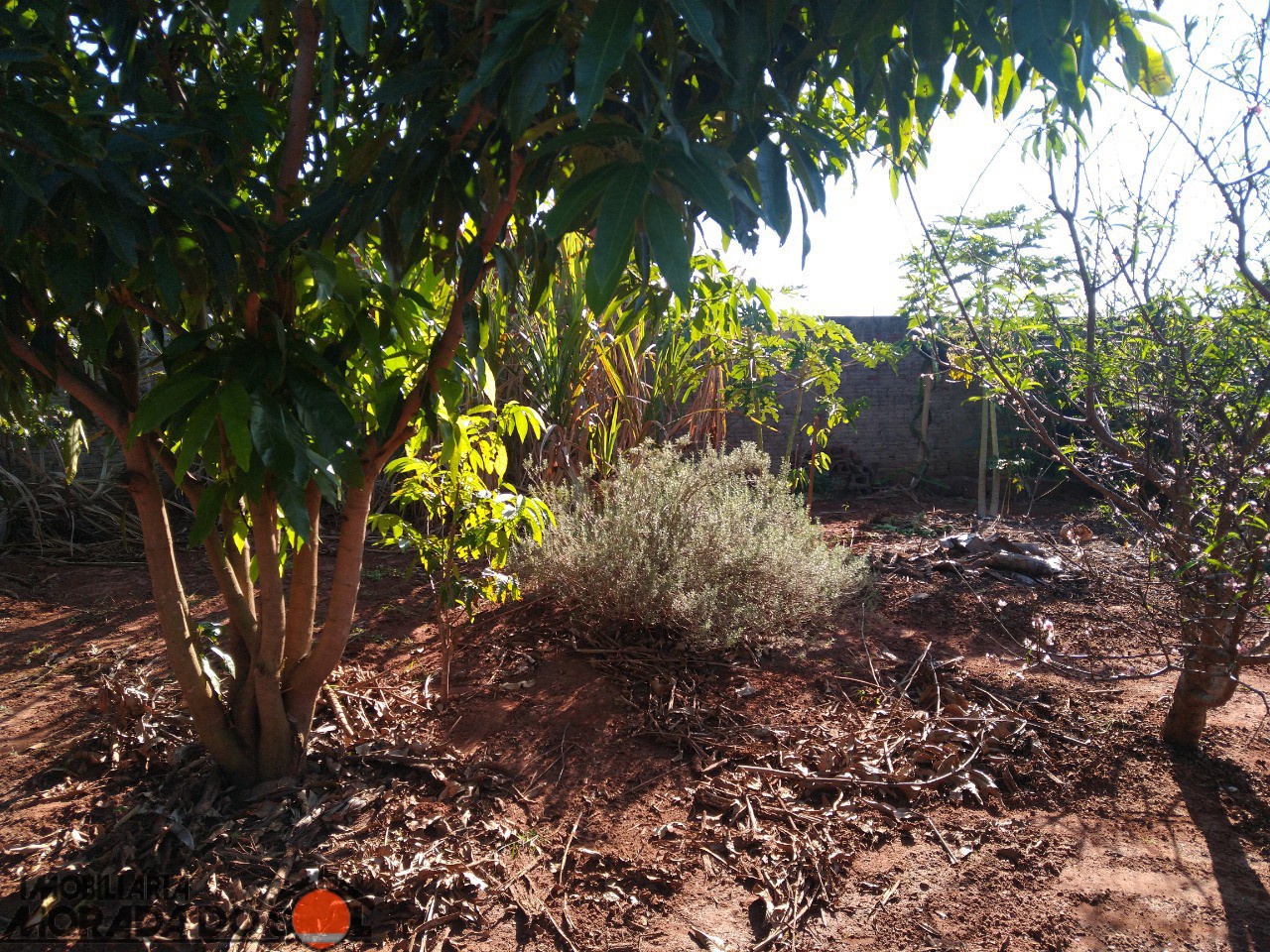 Terreno para venda no bairro Vila Guardiana de Mandaguaçu - Foto 17