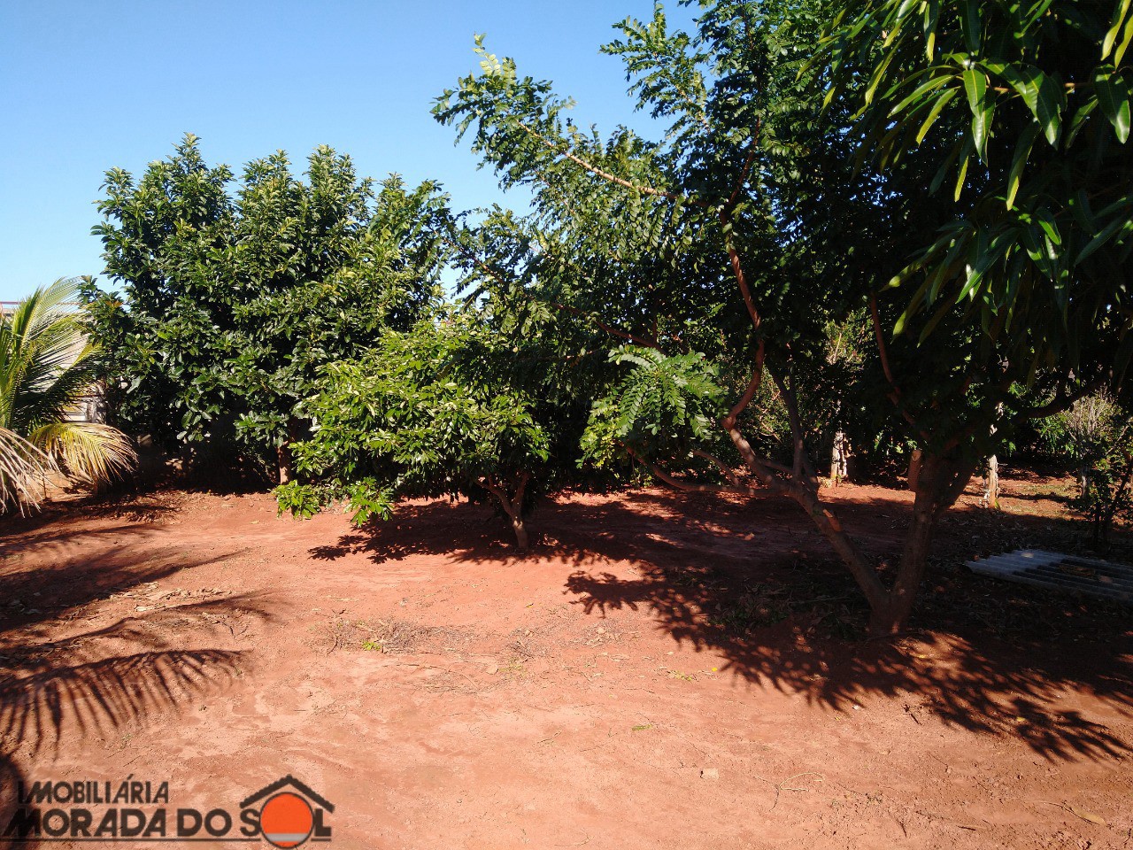 Terreno para venda no bairro Vila Guardiana de Mandaguaçu - Foto 18