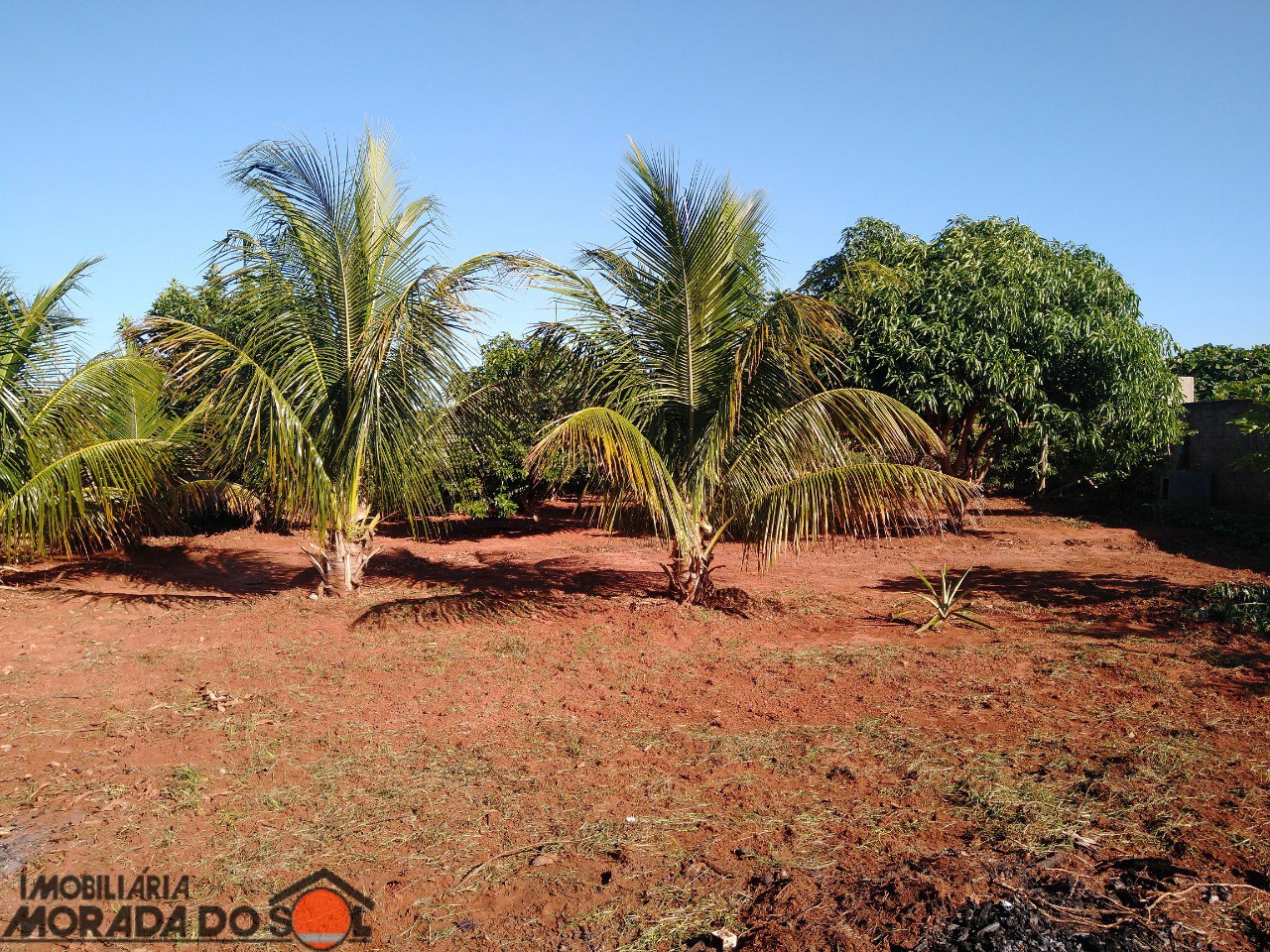 Terreno para venda no bairro Vila Guardiana de Mandaguaçu - Foto 19