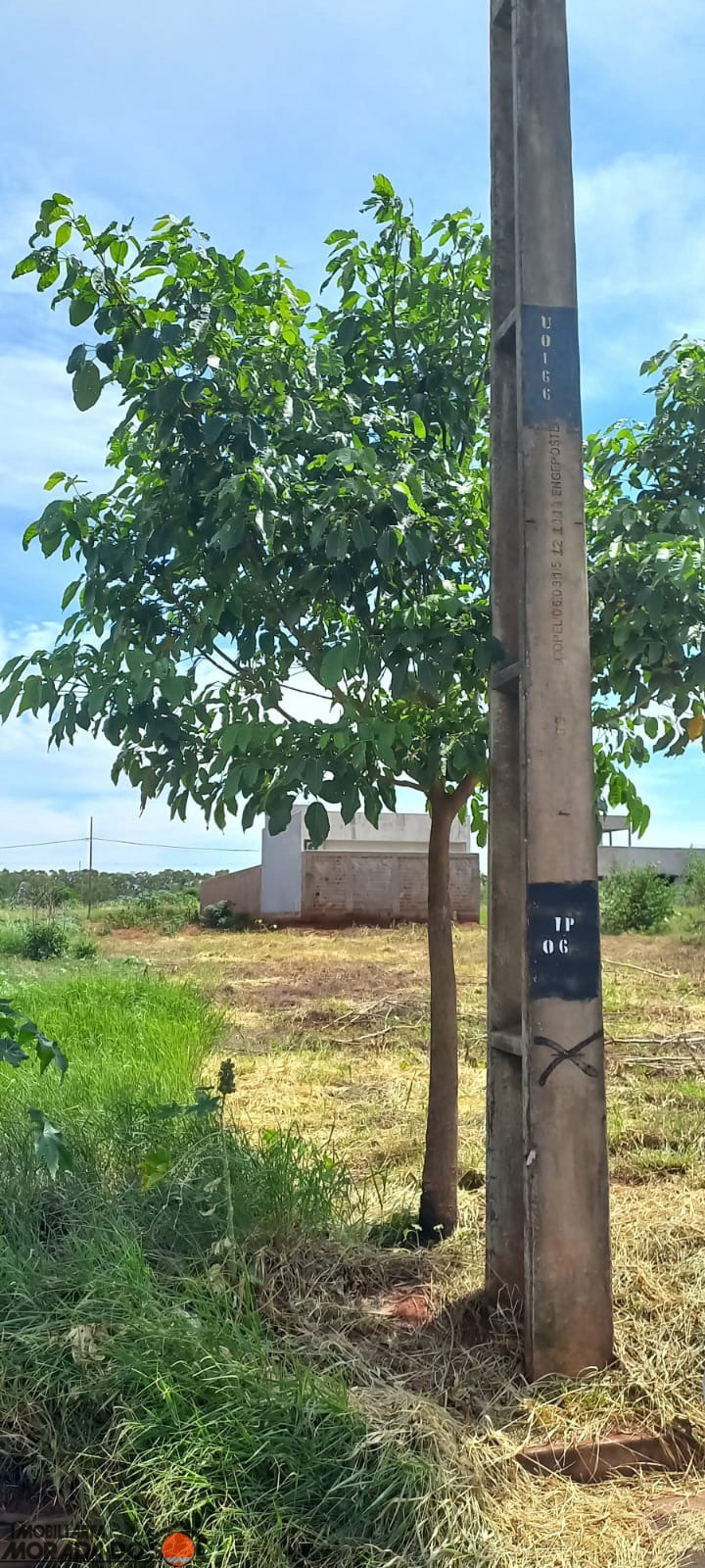 Terreno para venda no bairro Chácaras Villa Verde de Iguaraçu - Foto 5