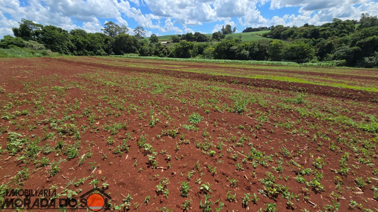 Terreno para venda no bairro Parque Residencial e Industrial San de Marialva - Foto 5