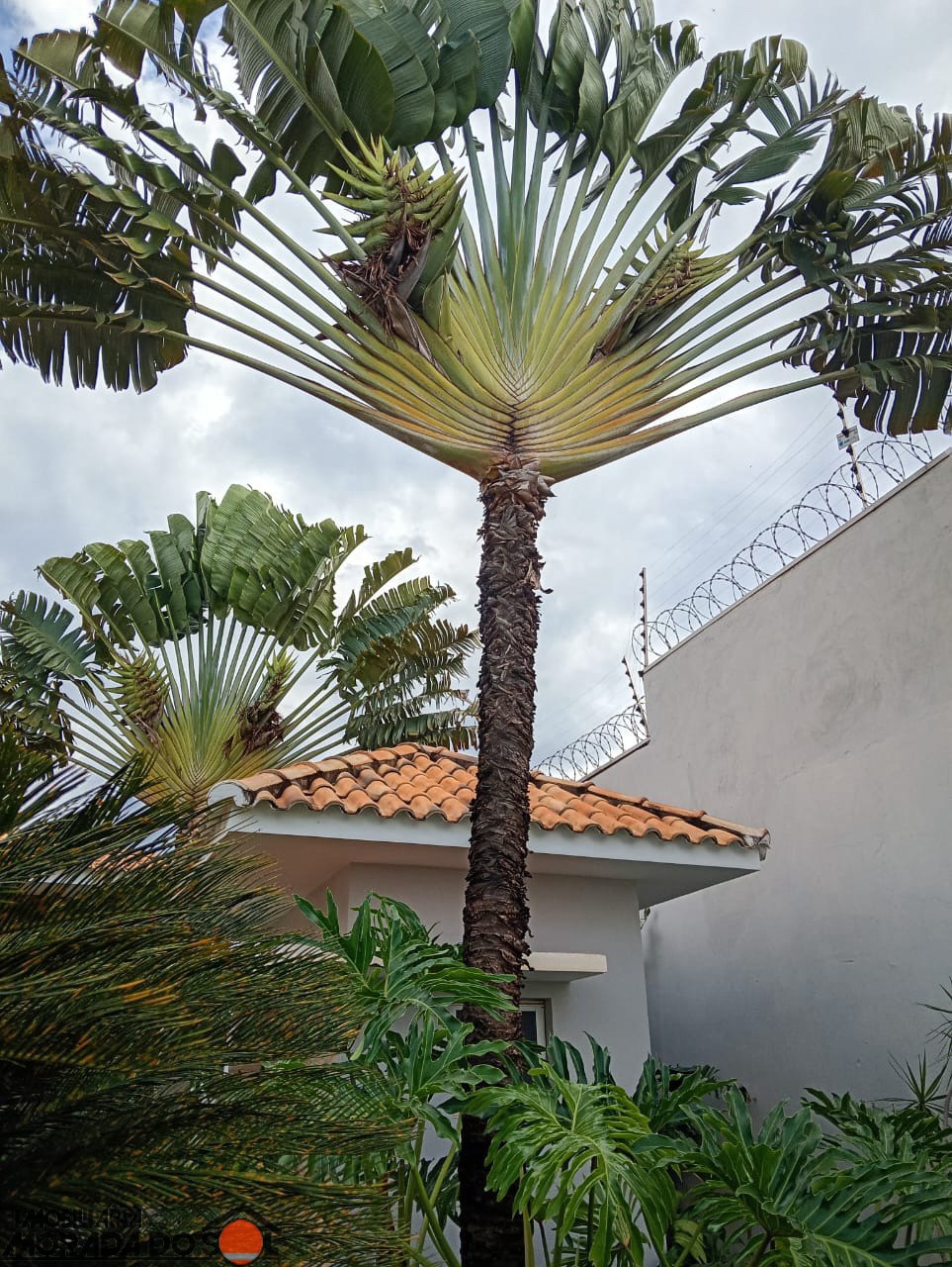 Casa de Condomínio para venda no bairro Lote 80 de Santo Inácio - Foto 6