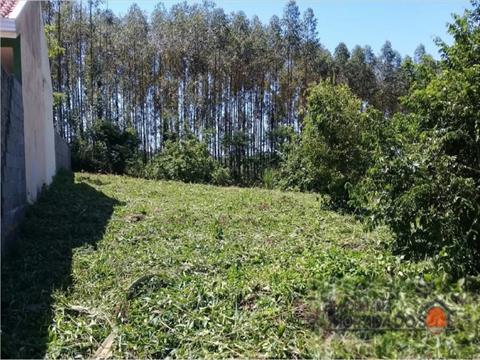 Terreno para venda no Mandijuba em Ivailandia com 1.240m² por R$ 300.000,00