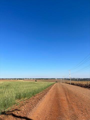 Fazenda para venda no Área Rural em Paiçandu com 2,5m² por R$ 1.499.000,00