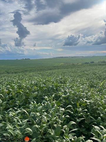 Sítio Rural para venda no Área Rural em Presidente Castelo Branco com 18,75m² por R$ 1.700.000,00