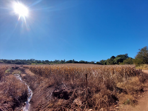 Terreno / Lote para venda no Gleba Ribeirão Sarandi em Sarandi com 22.000m² por R$ 1.000.000,00