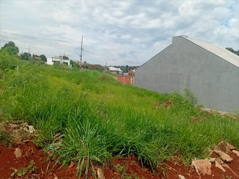 Terreno / Lote para venda no Jardim Nova Independência em Sarandi com 322m² por R$ 180.000,00