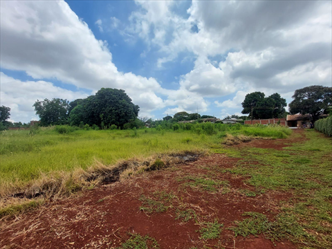 Terreno / Lote para venda no Jardim das Torres em Sarandi com 2.500m² por R$ 650.000,00