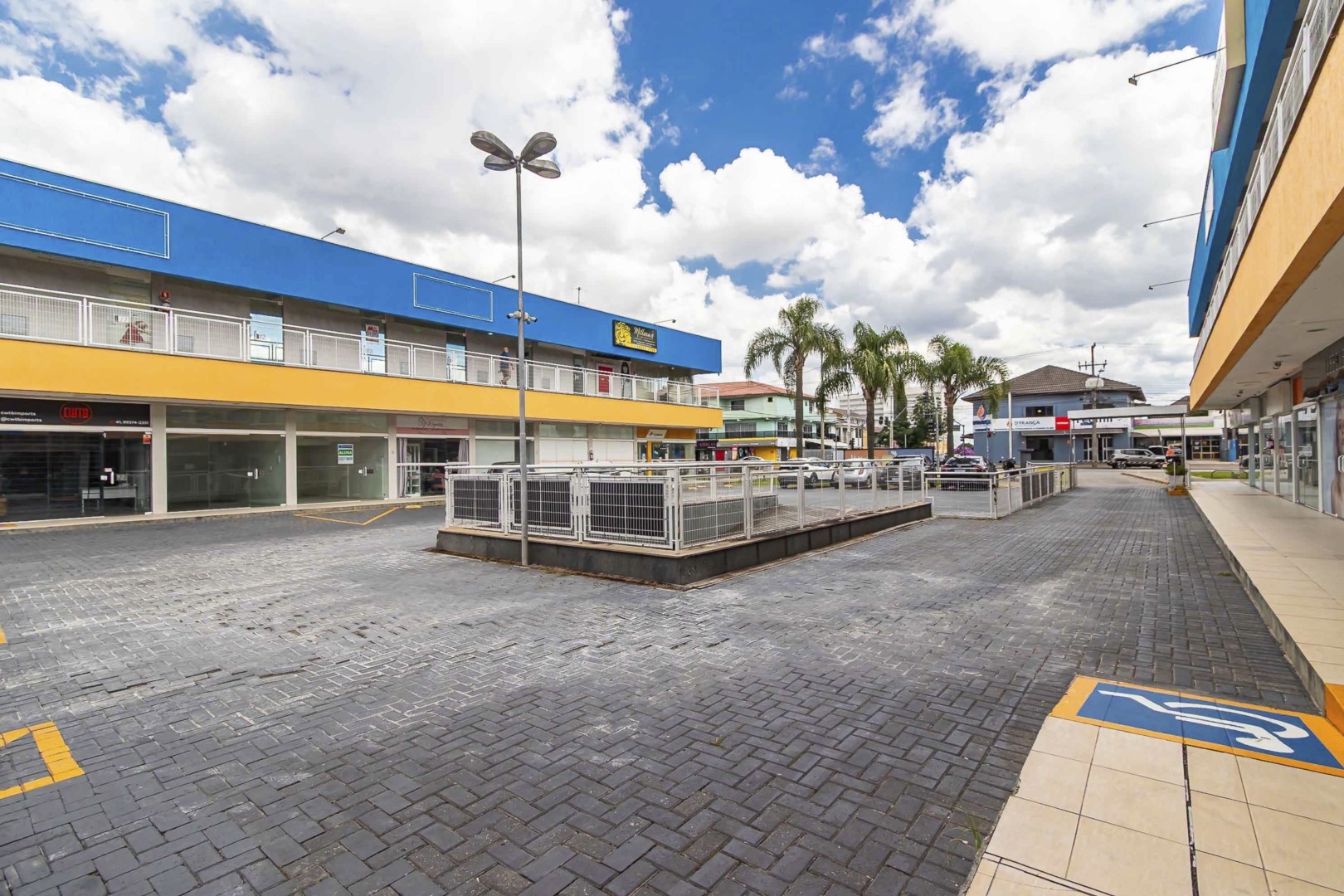 Sheep - IMG_0755_1.jpg