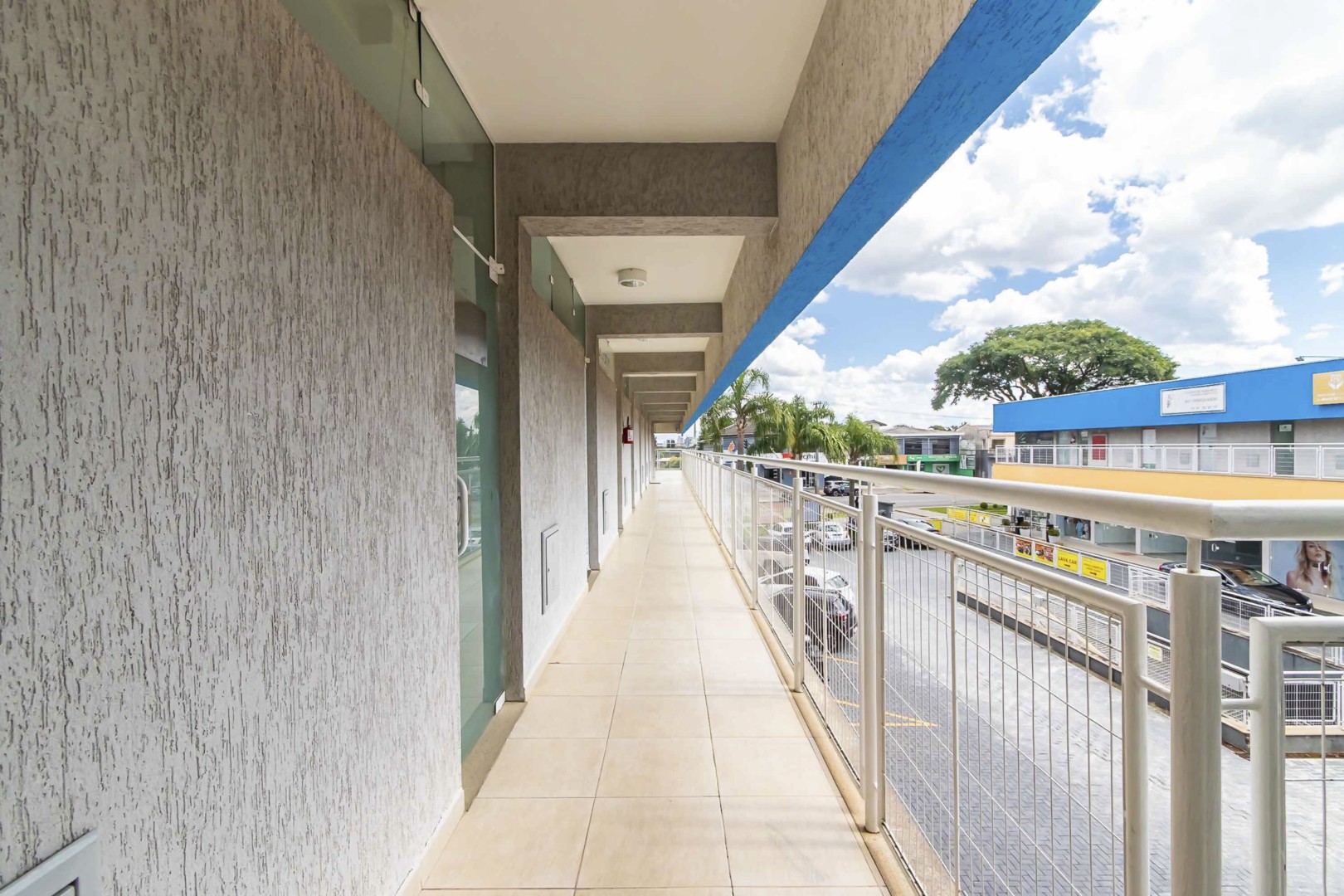 Sheep - IMG_0758_1.jpg