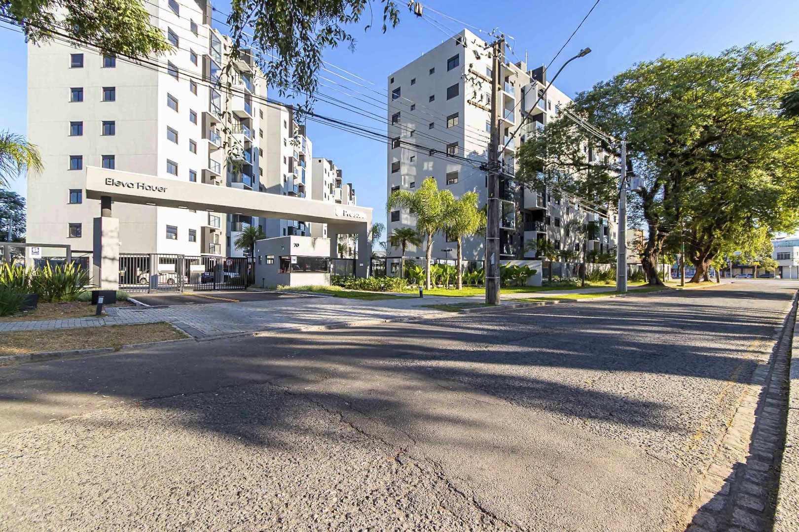 Sheep - IMG_2710_1.jpg