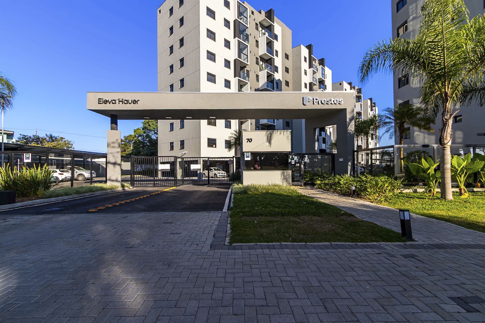 Sheep - IMG_2714_1.jpg