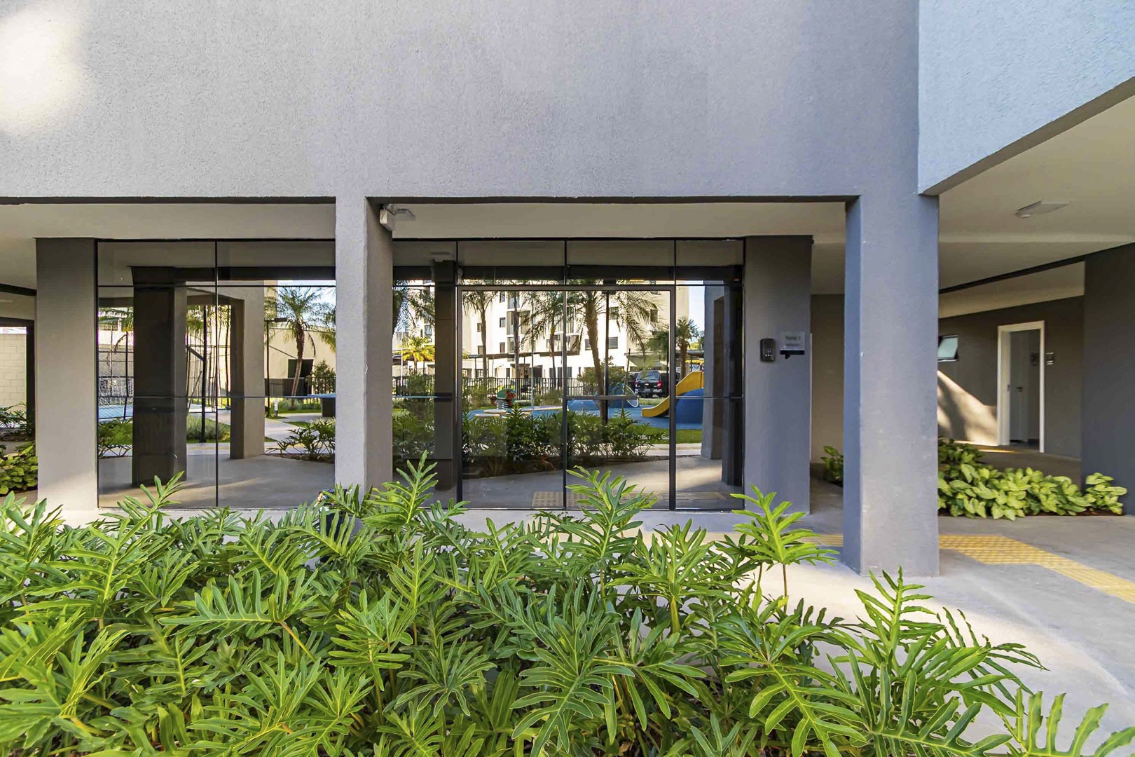 Sheep - IMG_2717_1.jpg