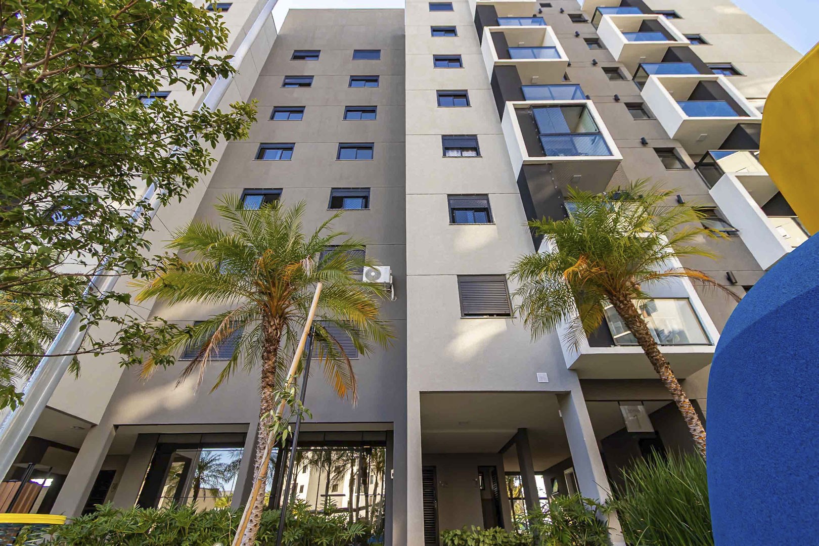 Sheep - IMG_2718_1.jpg