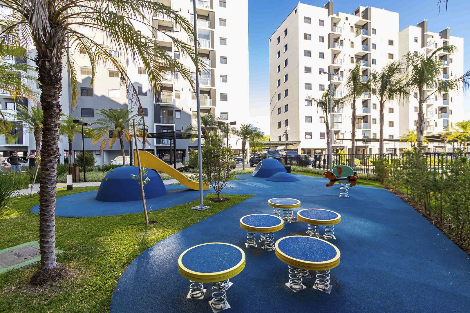 Sheep - IMG_2763_1.jpg