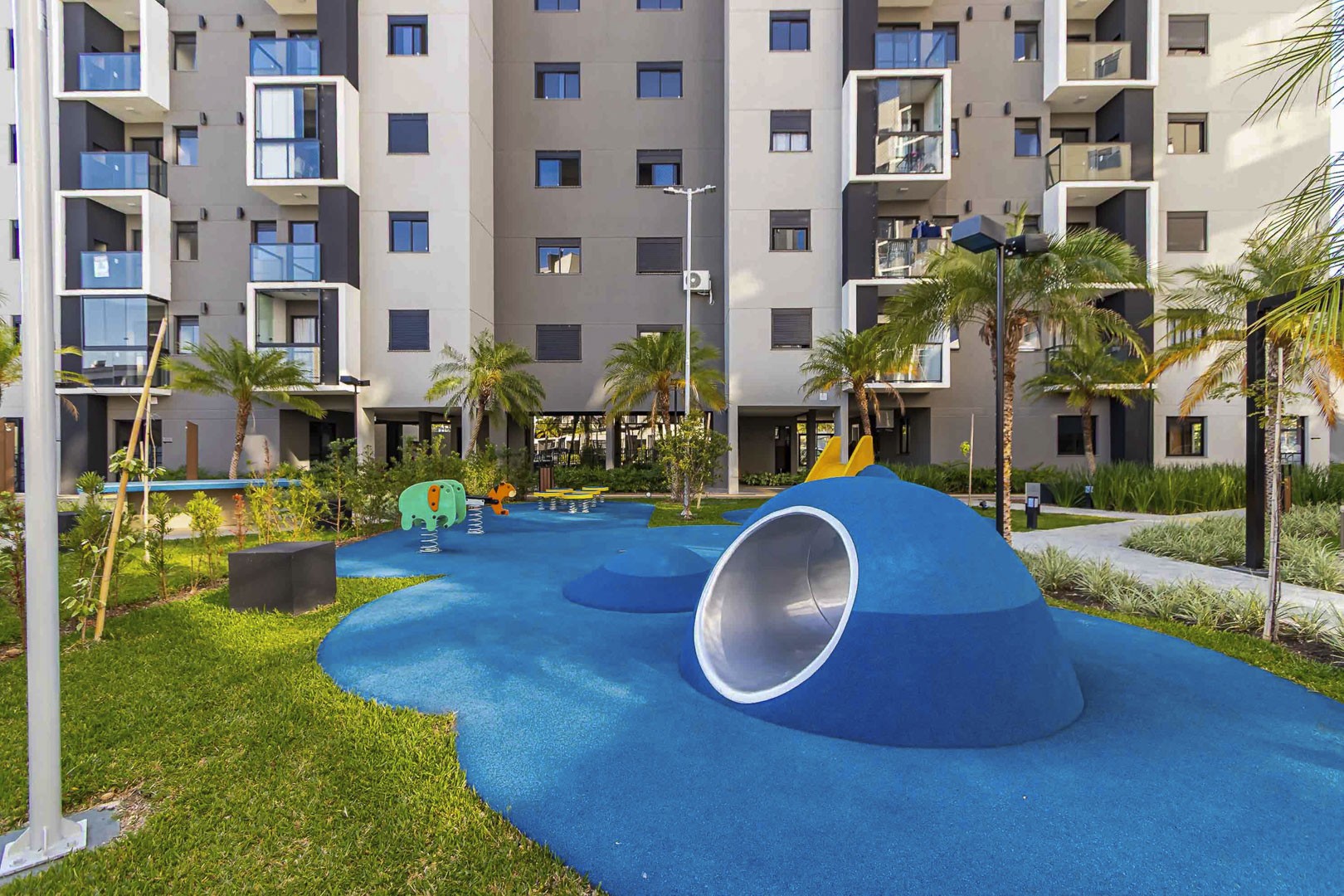 Sheep - IMG_2764_1.jpg