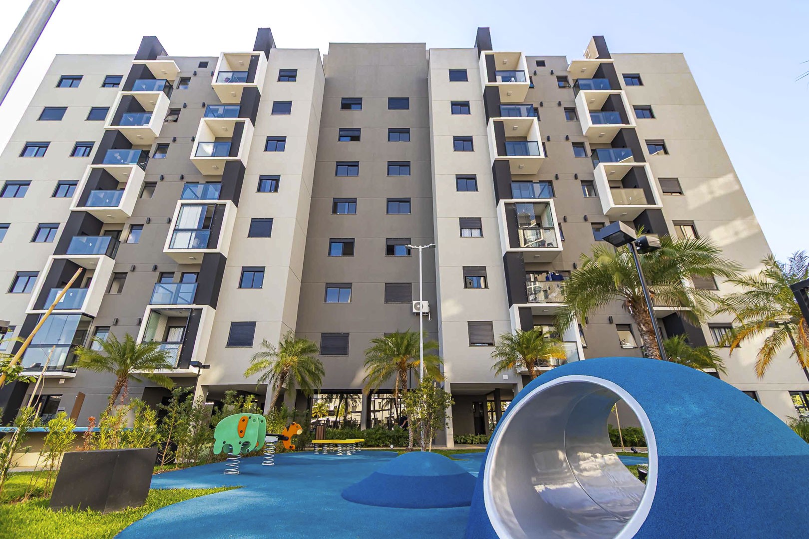 Sheep - IMG_2765_1.jpg