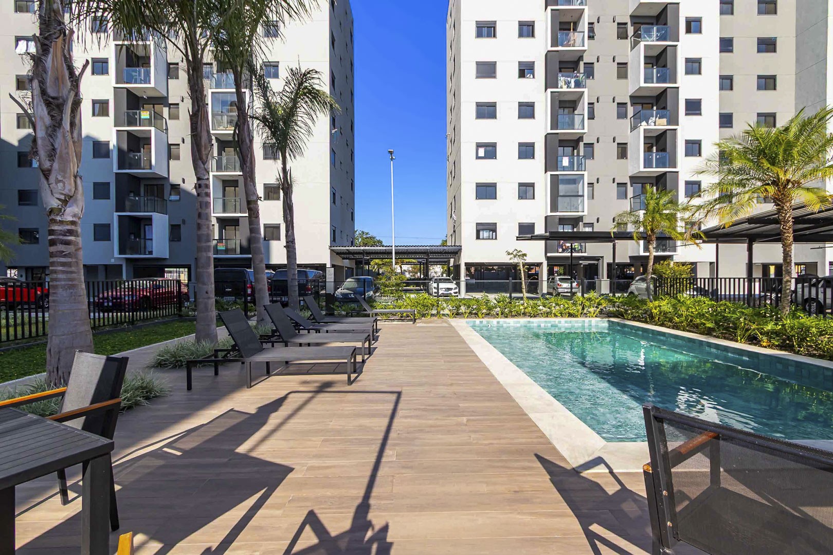 Sheep - IMG_2768_1.jpg