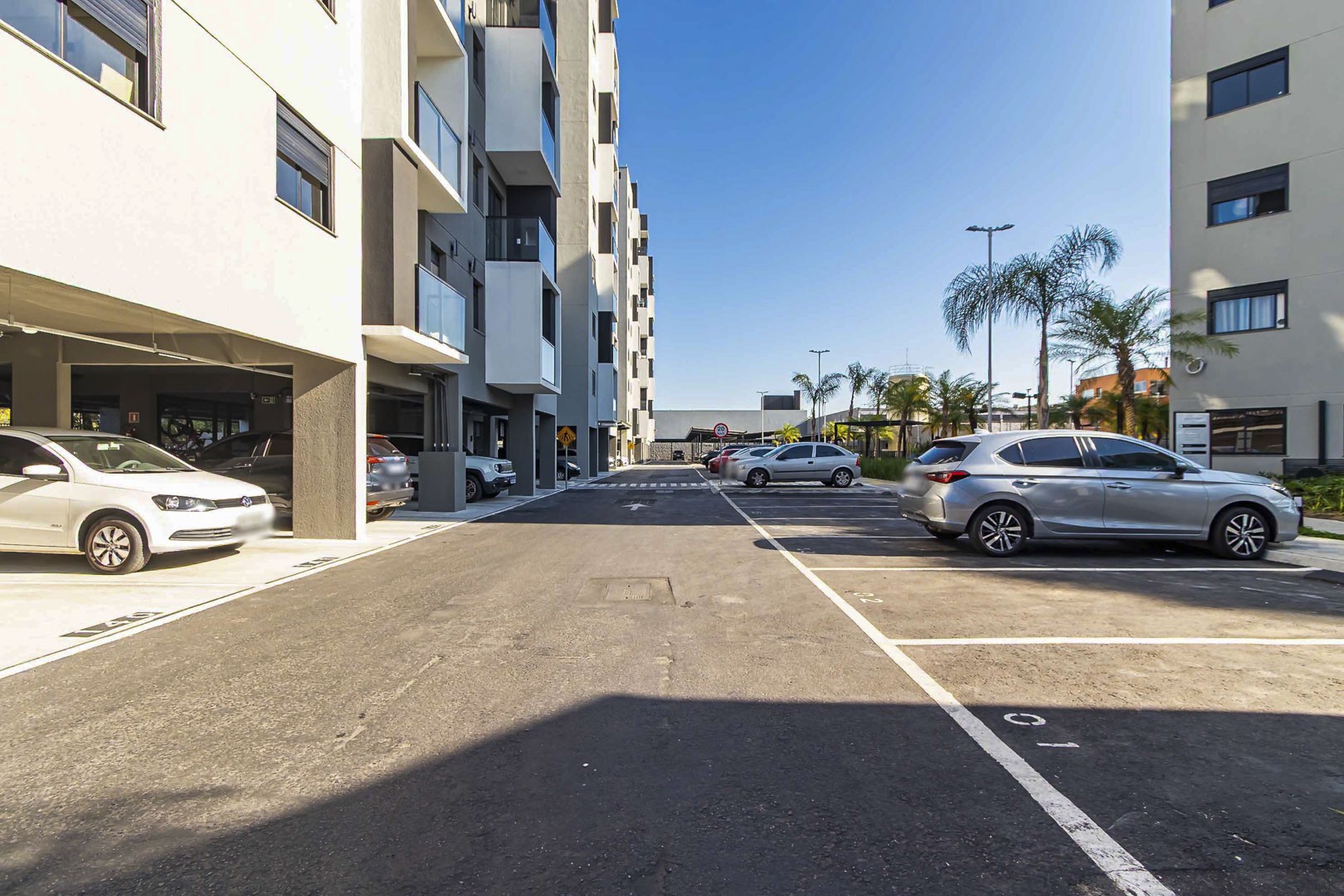 Sheep - IMG_2771_1.jpg