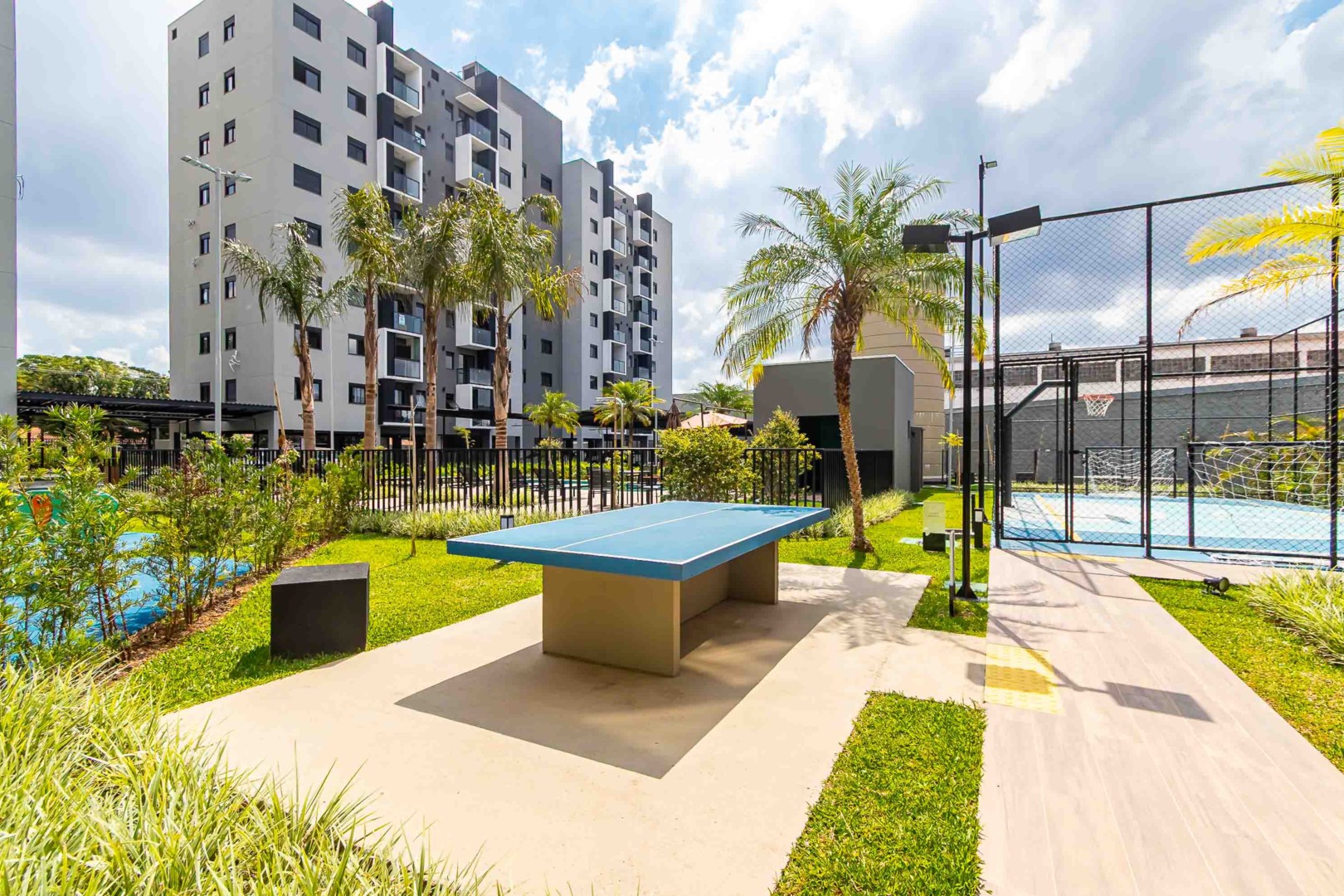 Sheep - IMG_1648.jpg