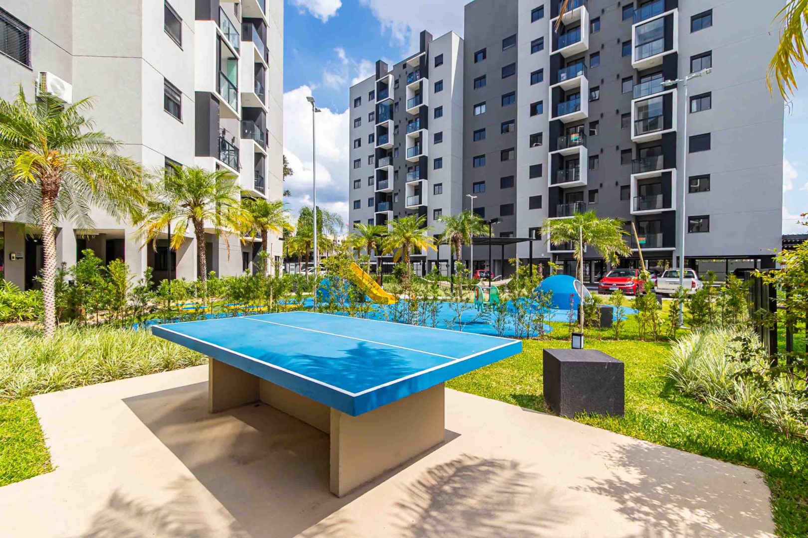 Sheep - IMG_1649.jpg