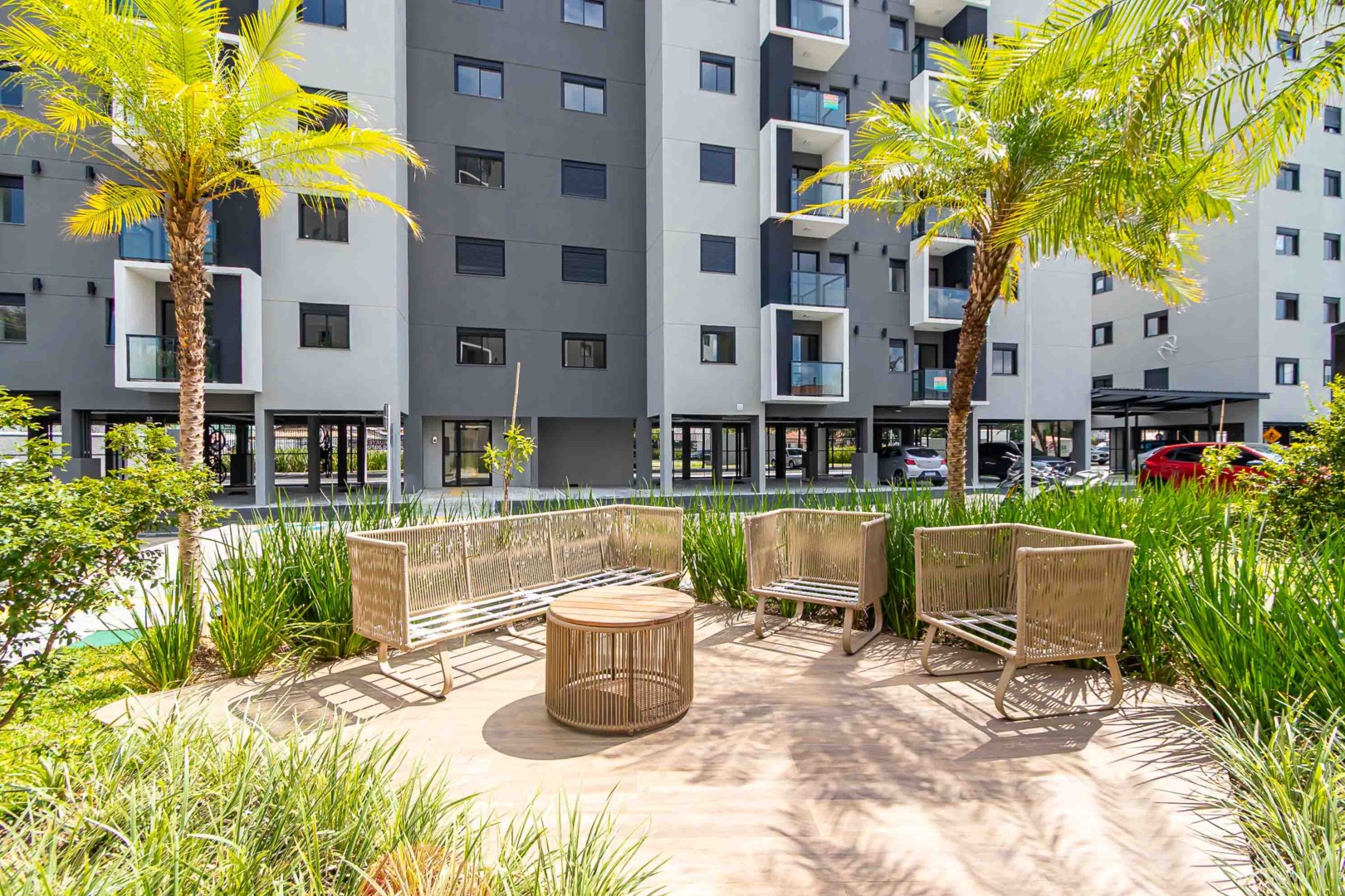 Sheep - IMG_1650.jpg